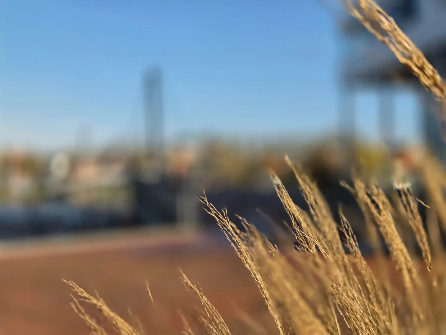 Torsten Albers Immobilien - Feld